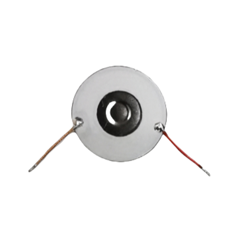 10mm 분무기 정제 비강 세척 특수 보습제 입 스프레이 가습기 분무기 특수 스프레이 정제 저전력 소비 스테인레스 스틸 마이크로 메쉬 분무기 디스크