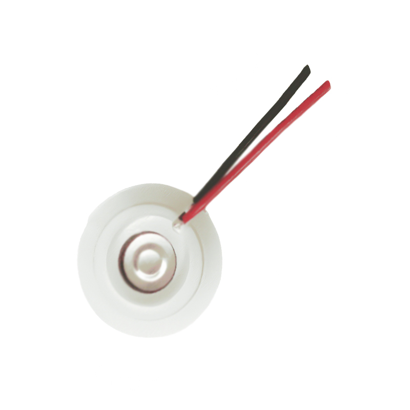 16-112KHZ 팬 뷰티 가습기 미스트 타블렛 스프레이 홀 타블렛 메쉬 메시 미스트 트레이 스테인레스 스틸 메쉬 초음파 미스트 타블렛 아로마 테라피 에센셜 오일 가습 마이크로 홀 미스트 트레이