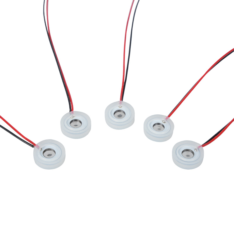10mm 마이크로 소형 압전 마이크로 메시 분무기 비강 세척기 조각 촉촉한 눈 기구 스프레이 에센셜 오일 아로마테라피 마이크로 모양의 소형 소독 가습 분무기 특수, 작은 마이크로 메시 스프레이 구멍의 힘 조리개 조각 조절 가능 분무 속도 조절 가능 입자 조절 가능
