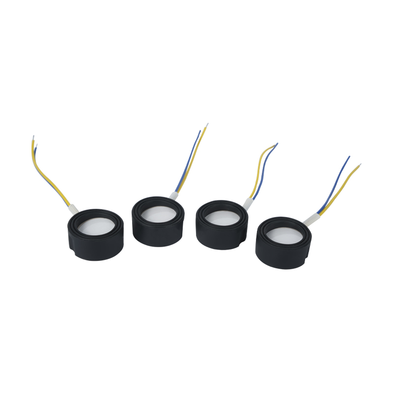 25mm1.7mhz 초음파 고주파 분무화 족탕 Wigwam 구름 안개 조경 대량 분무 압전 세라믹 변환기 진동 분무기 고전력 220v36w