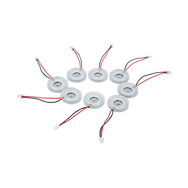 Φ16mm 미세 다공성 포깅 플레이트 압전 세라믹 대형 포그 볼륨 히터 포깅 플레이트 디퓨저 스프레이 홀 플레이트 메쉬 포깅 플레이트