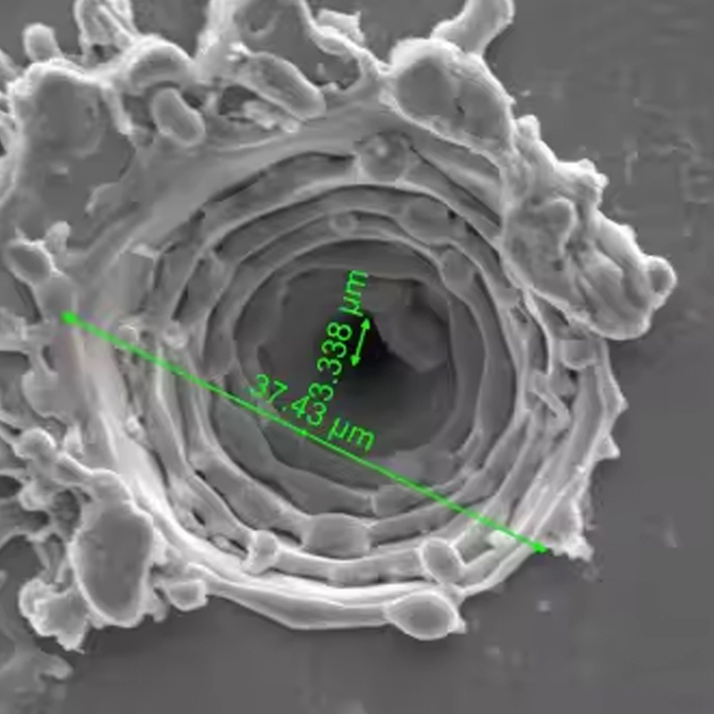 정밀 레이저 마이크로비아