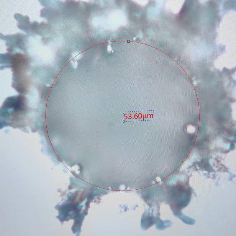 정밀 레이저 마이크로비아